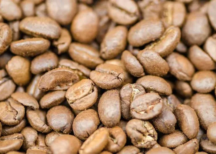 Tetap Ngopi Saat Ramadan? Ini 5 Jenis Kopi yang Lebih Aman Bagi Lambung