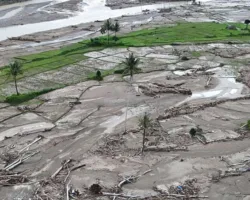 Pulihkan Sawah di Sumatera, Pemerintah Siapkan Rp 336 Miliar