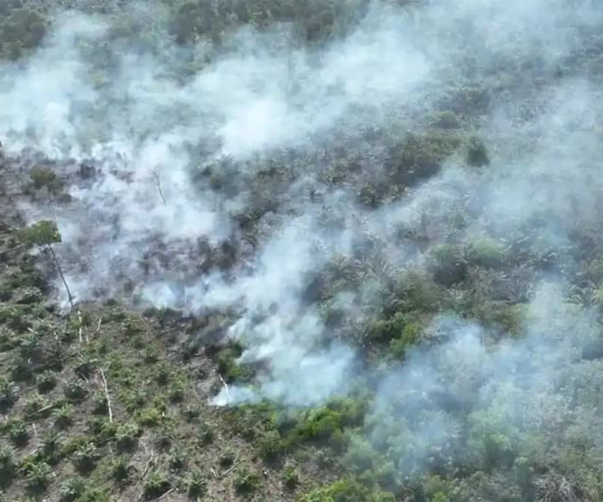 BMKG Pantau 188 Hotspot di Sumatera, Enam Titik Berada di Riau