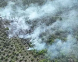 Karhutla Riau Meluas, Api Masuk Kawasan Suaka Margasatwa Giam Siak Kecil