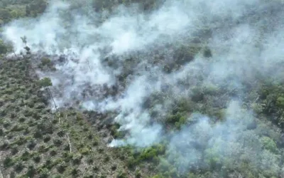 Karhutla Riau Meluas, Api Masuk Kawasan Suaka Margasatwa Giam Siak Kecil