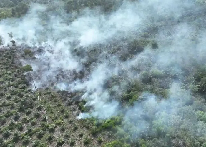 Karhutla di Riau Nihil, BPBD Minta Daerah Tetap Siaga Hadapi Potensi Banjir