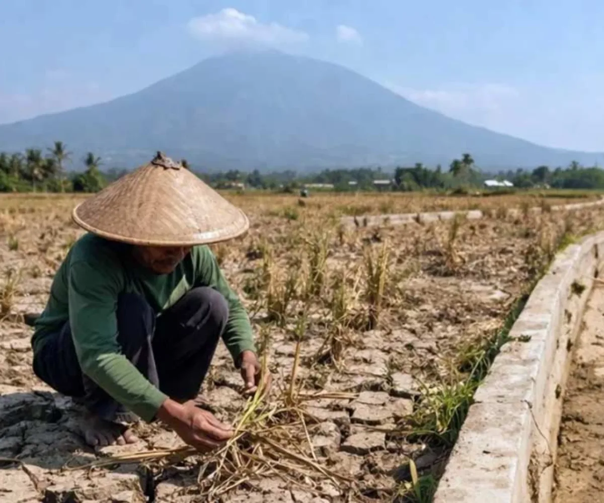 BMKG Ingatkan El Nino 2026 Menguat, Kemarau Panjang Mengancam, Riau Perlu Waspada