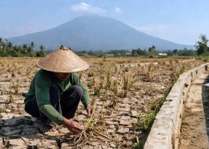 Alarm Iklim Dunia: Cincin Panas Pasifik Picu Ancaman Super El Nino