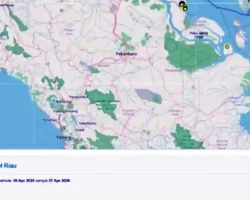 BMKG Pantau Hotspot Riau Turun Drastis, Tersisa 1 Titik di Pelalawan