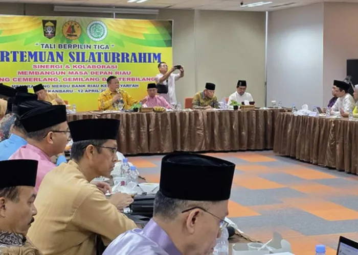 Tali Berpilin Tiga Satukan Elit Riau, Karmila Sari: DPR Siap Kawal Dana Rp4 Triliun yang Tersendat
