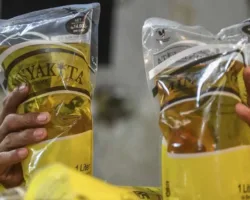 Minyakita Langka di Pekanbaru, Pelaku UMKM Menjerit