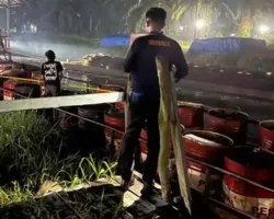 Polda Riau Bongkar Sindikat Solar Subsidi, 10.000 Liter Selamat dari Praktik Ilegal