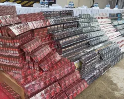 Rokok Ilegal Masih Serbu Riau, Bea Cukai Musnahkan Barang Rp44,8 Miliar