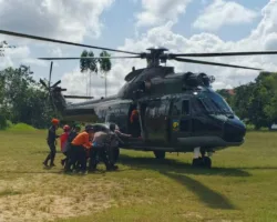 Helikopter PK-CFX Jatuh di Sekadau, 8 Korban Tewas Dievakuasi TNI AU dari Area Perbukitan