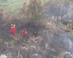 Karhutla Riau Belum Usai, Manggala Agni Intensifkan Pemadaman dan Pendinginan di Sejumlah Wilayah