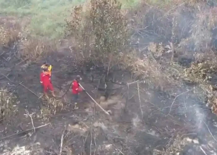 Karhutla Riau Belum Usai, Manggala Agni Intensifkan Pemadaman dan Pendinginan di Sejumlah Wilayah
