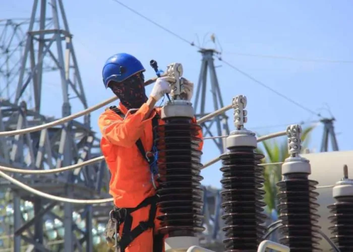 Blackout Lumpuhkan Riau, PLN Ungkap Pemicu Gangguan Transmisi di Jambi