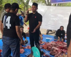 Tebar Kepedulian di Idul Adha, Demokrat Riau Berbagi Daging Kurban ke Warga Pekanbaru