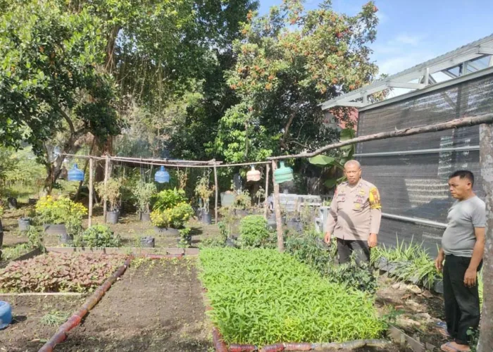 Inspiratif, Warga Tirta Siak Pekanbaru Sulap Lahan Kosong Jadi Kebun Sayur, Polisi Turun Mendukung