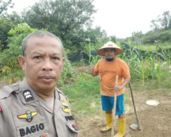 Ketika Polisi Tak Hanya Jaga Kamtibmas, Tapi Ikut Semangati Warga di Pekanbaru Bertani