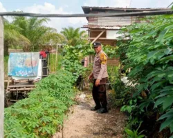 Sambangi Kebun Warga di Pekanbaru, Cara Polsek Payung Sekaki Dorong Ketahanan Pangan di Lahan Sempit