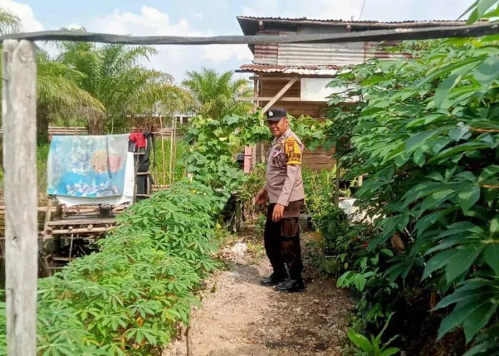 Sambangi Kebun Warga di Pekanbaru, Cara Polsek Payung Sekaki Dorong Ketahanan Pangan di Lahan Sempit