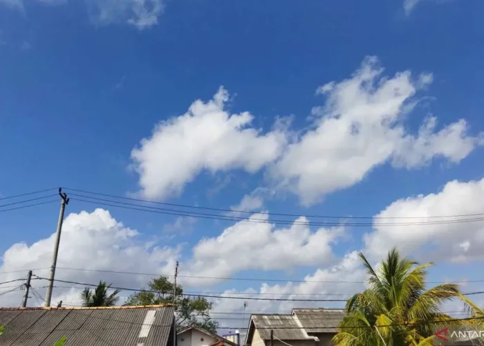 Cuaca Riau Hari Ini Cerah Berawan, BMKG Catat 8 Titik Panas di Riau