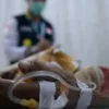 1.768 Jemaah Haji Riau Sudah Pulang, 6 Orang Masih Dirawat di Batam