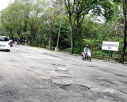 Jawab Keluhan Warga, Jalan Rusak di Pekanbaru hingga Perbatasan Rohil Ditambal