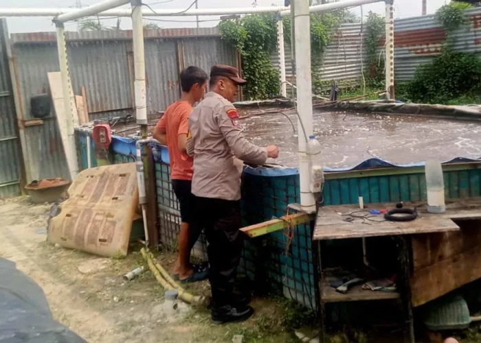 Budidaya Lele Jadi Penopang Ekonomi Keluarga, Kanit Binmas Polsek Payung Sekaki Beri Dukungan Warga Air Hitam