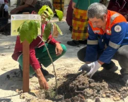 Penanaman Pohon di Dayun, PT BSP dan SKK Migas Dorong Ekowisata Hijau dan Ekonomi Warga