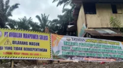 PT Andalan Manpower Solusi Segera Bangun Pabrik Pupuk Nano di Pasaman Barat, Siapkan Lapangan Kerja Baru