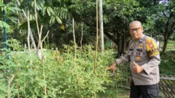 Dari Gang Aman Tirta Siak, Polisi dan Warga Bangun Ketahanan Pangan Berbasis Lingkungan