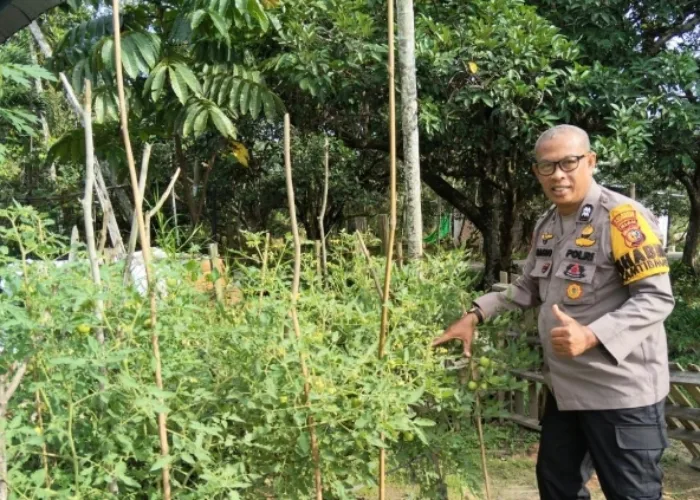 Dari Gang Aman Tirta Siak, Polisi dan Warga Bangun Ketahanan Pangan Berbasis Lingkungan