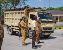 Harga TBS Petani Siak Anjlok, Bupati Afni Sidak PKS dan Warning Spekulan Sawit