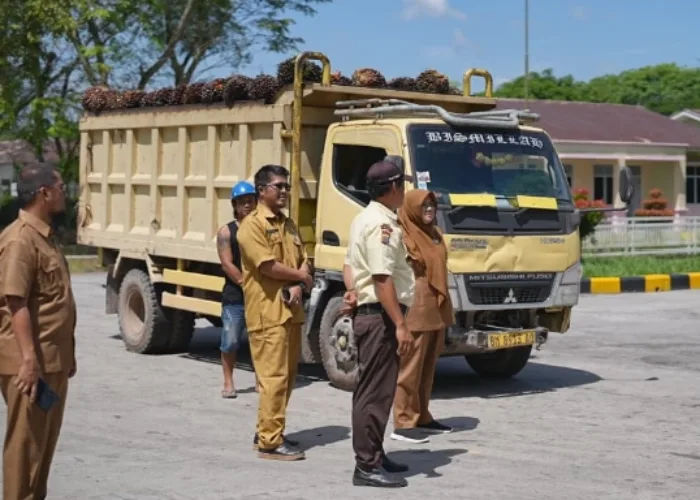 Harga TBS Petani Siak Anjlok, Bupati Afni Sidak PKS dan Warning Spekulan Sawit