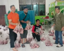 Sembelih 11 Sapi dan 4 Kambing, Semangat Gotong Royong Warnai Idul Adha di Masjid Al-Mukminin Pekanbaru