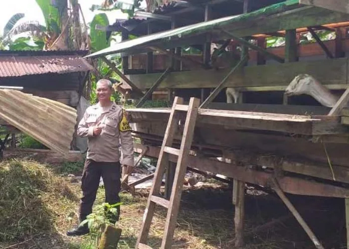 Polsek Payung Sekaki Dukung Ketahanan Pangan, Sambangi Peternak Kambing di Tampan Pekanbaru
