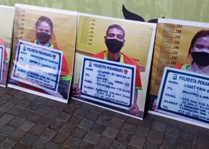 Menantu Dalangi Pembunuhan Nenek di Rumbai, Empat Pelaku Gasak Harta Korban