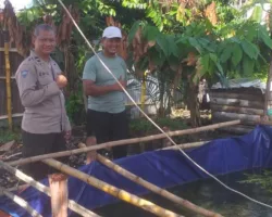 Dari Jalan Jambu Mawar, Semangat Ketahanan Pangan Tumbuh Lewat Budidaya Lele Warga Tampan