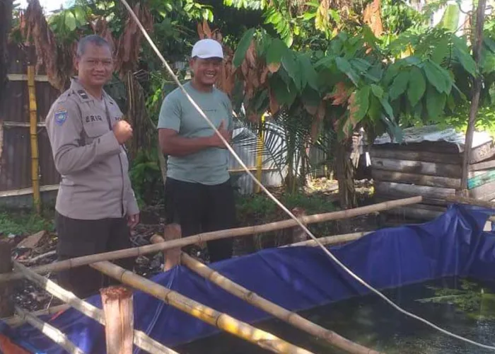 Dari Jalan Jambu Mawar, Semangat Ketahanan Pangan Tumbuh Lewat Budidaya Lele Warga Tampan