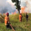 BMKG Catat 5 Hotspot di Riau, Hujan Lebat dan Petir Masih Berpotensi Terjadi Hari Ini