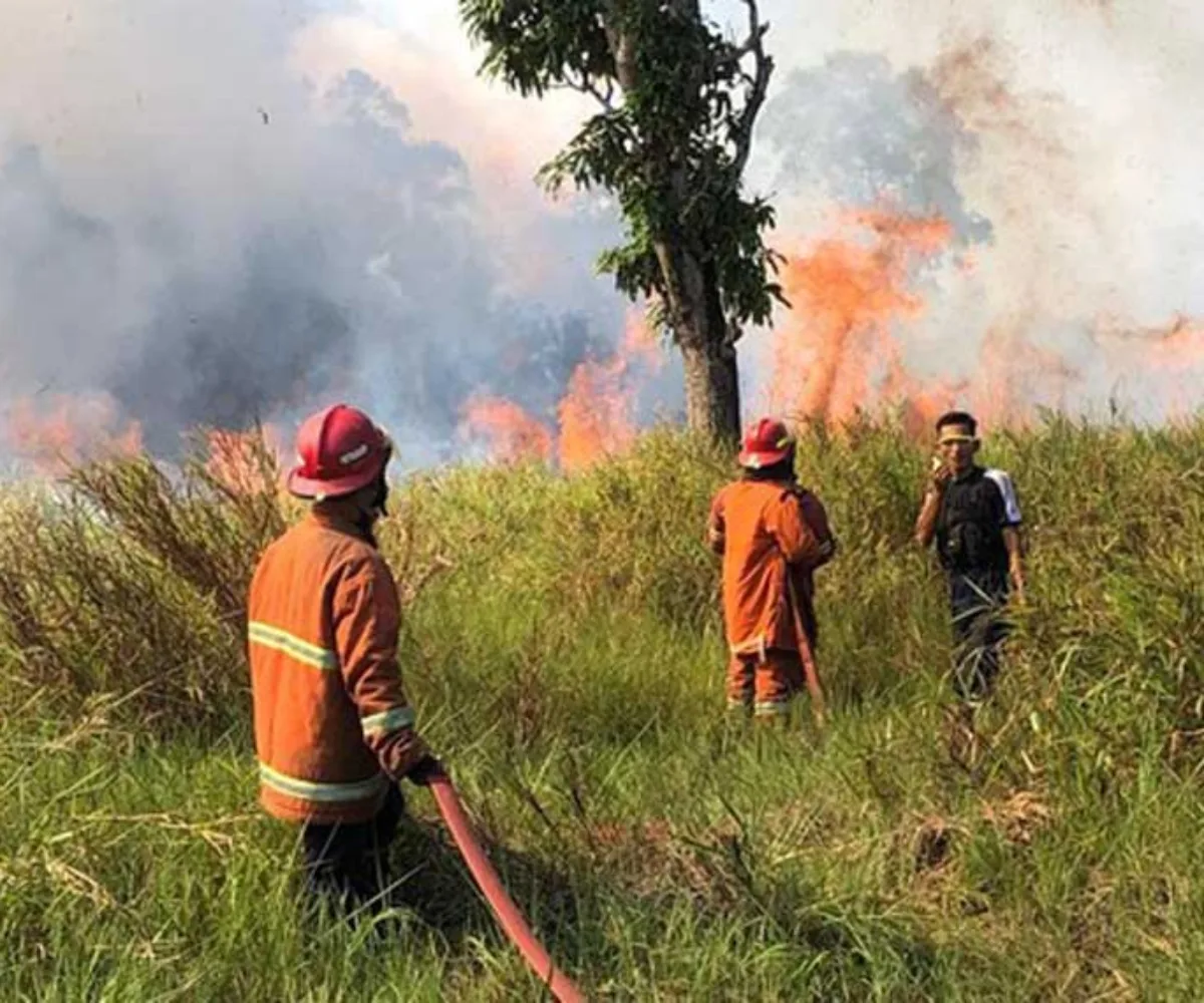 BMKG Catat 5 Hotspot di Riau, Hujan Lebat dan Petir Masih Berpotensi Terjadi Hari Ini
