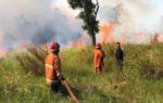 Ancaman Karhutla Belum Mereda Meski Ada Potensi Hujan, Riau Masih Miliki 39 Hotspot