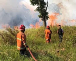 Karhutla Riau Tembus 15.031 Hektare, Ancaman Asap Mengintai Jelang Kemarau 2026