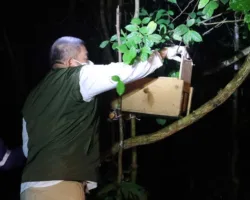 BBKSDA Riau Lepasliarkan Belasan Satwa Korban Perdagangan Ilegal ke Taman Nasional Zamrud