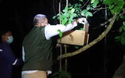 BBKSDA Riau Lepasliarkan Belasan Satwa Korban Perdagangan Ilegal ke Taman Nasional Zamrud