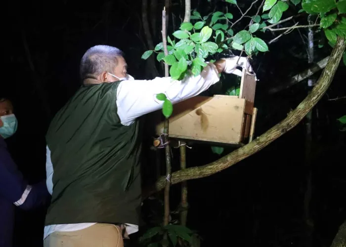 BBKSDA Riau Lepasliarkan Belasan Satwa Korban Perdagangan Ilegal ke Taman Nasional Zamrud