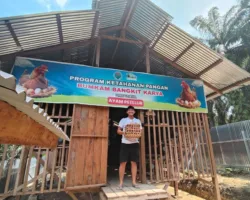 BUMKam Kerinci Kanan Siak Produksi Telur Capai 80 Persen, Dongkrak Pendapatan Kampung