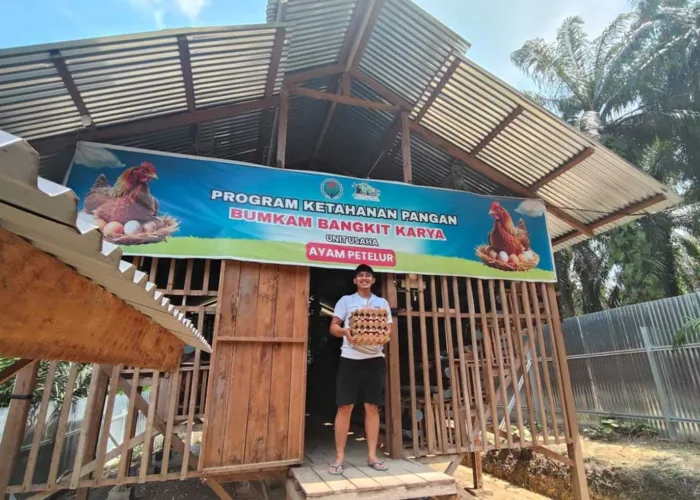 BUMKam Kerinci Kanan Siak Produksi Telur Capai 80 Persen, Dongkrak Pendapatan Kampung