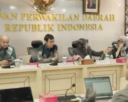 Bupati Siak Afni Ungkap Jurang Fiskal Daerah Penghasil di DPD RI, Soroti Ketidakadilan Dana Bagi Hasil