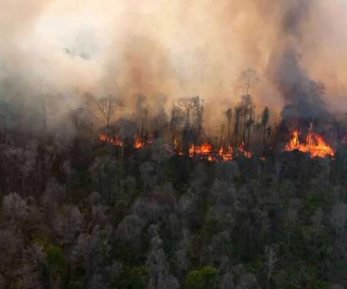 BMKG Deteksi 52 Hotspot di Riau, 28 Titik Berada di Pelalawan
