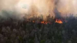 BMKG Deteksi 52 Hotspot di Riau, 28 Titik Berada di Pelalawan