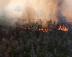 BMKG Deteksi 10 Hotspot di Riau Saat Cuaca Cerah Dominasi Wilayah